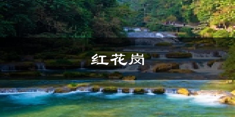 遵义红花岗天气预报未来一周