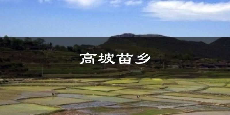 高坡苗乡气温