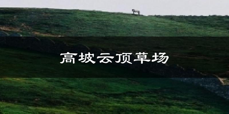 高坡云顶草场气温