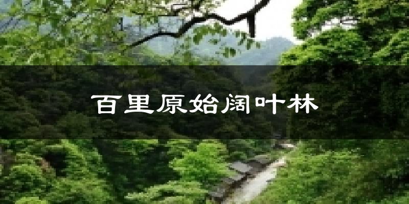 百里原始阔叶林天气预报十五天