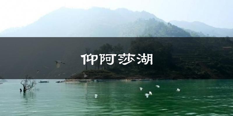 仰阿莎湖气温