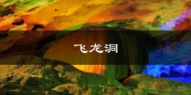 飞龙洞今日天气