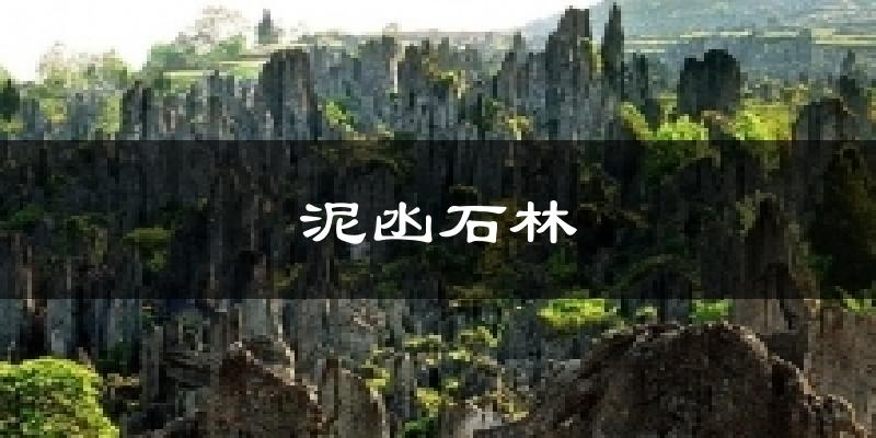 泥凼石林今日天气